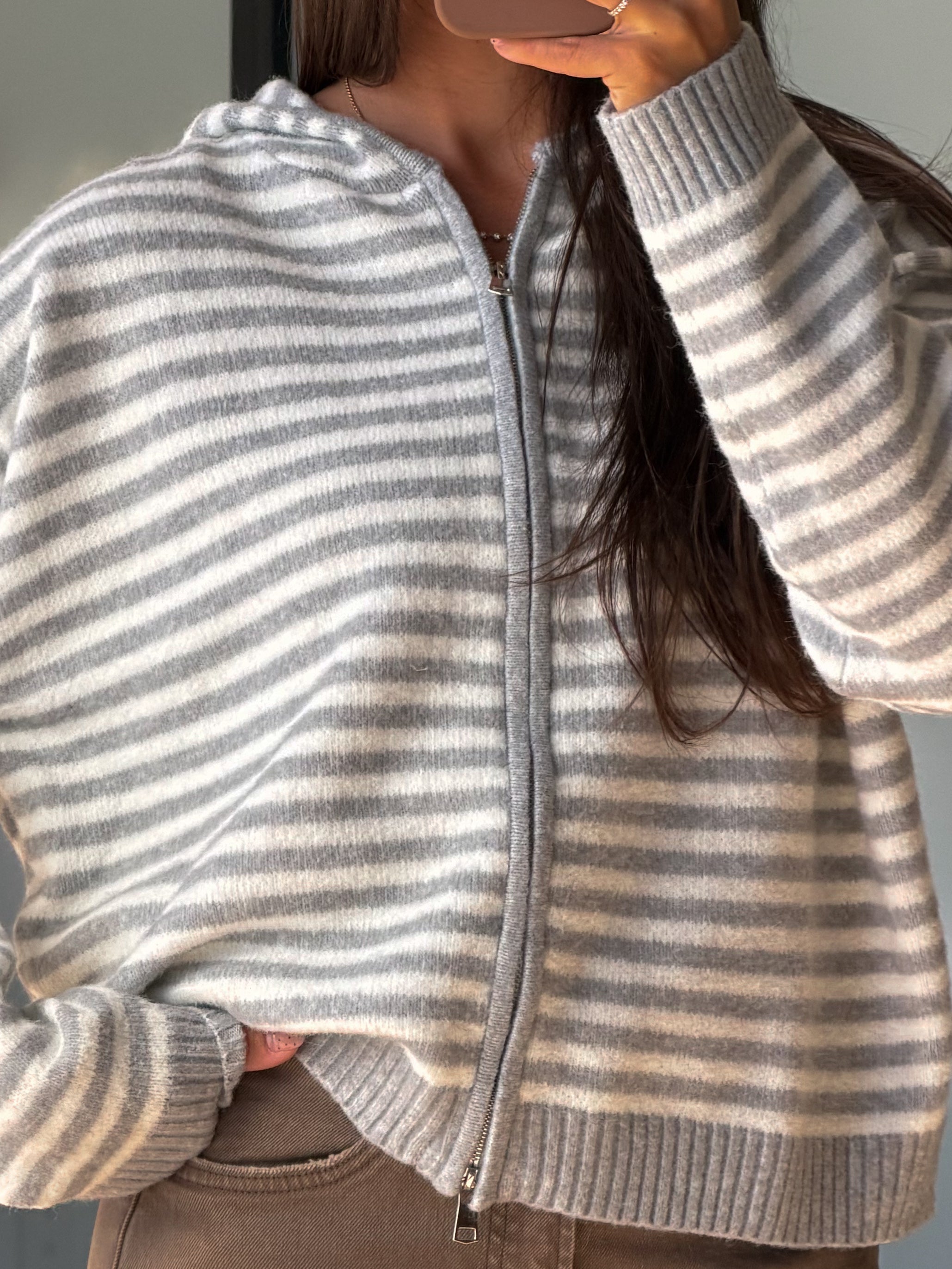 Aylia Zip-Up Hoodie | Grey Stripe